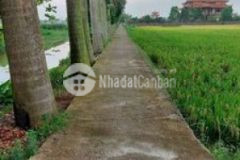 Đất gần đại lô đông tây