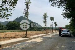 1 6trm2 130m2 thạch quảng thạch thành thanh hóa