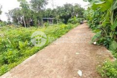 Đất hẻm cấp 1 hòa xuân siêu đỉnh