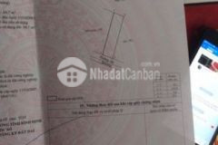 Bán đất thổ cư giá rẻ phường hoài xuân hoài nhơn