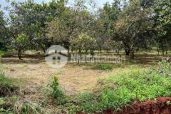 Cần bán lô đất 1018 m2 tại bp shr 385tr tl