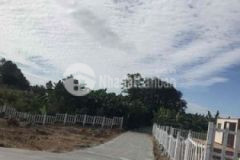 Bán đất sào tại thanh bình trảng bom