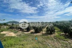 Chính chủ cần bán đất vườn gần tt liên hương