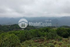 Bán 7800m đà bắc giá 250tr