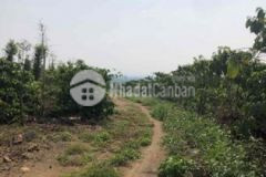 Chính chủ cần bán 6 sàocafe tại dốc 800 lâm hà