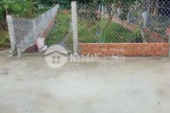 Nền đẹp nở hậu lộ ô tô rạch đường gỗ phú thứ cr