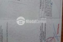 Hải châu kiếm đâu ra lô thứ 2 otto ra vào