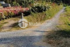 Đất khu phân lô huệ sanh