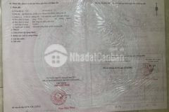 Bán đất mỹ lộc long an