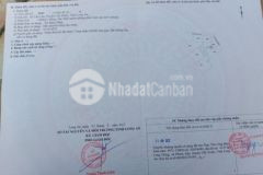 Chính chủ bán gấp 1000m2 đất lúa đường xe 4 chỗ