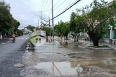 Nền đất vườn lộ ô tô