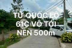 Nền biệt thự view sông thoáng mát có cây ăn trái