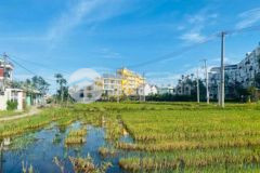 Bán view lúa 2 mặt tiền cẩm châu hội an