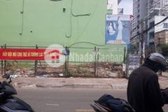 Cặp đất mt ba vân shr giá 2tỷ300 mua cặp giảm