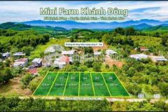 Bán farm mini nhà vườn ở khánh đông giá 739tr