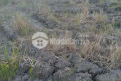 Đất nền tân trung thị xã gò công