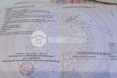 Cần tiền chữa bệnh cần bán lô đất mặt tiền 12m