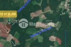 Cần tiền bán gấp 4463m đất làm vườn xã khánh bình