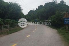 Chính chủ bán lô đất mặt tiền quốc lộ 14d