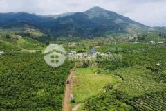 2500m2 có 90m mặt tiền 150m mặt suối qh 100 đất ở