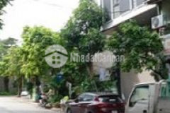 Mặt phố phan kế bính 47m mt 7m sổ vuông 15 8tỷ