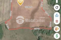 Bán đất tân đức qh ont 13105m² giá 5 2 tỷ