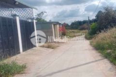 Bán 1 sào vuông vức trồng trái cây sổ riêng