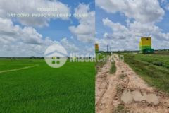 Bán 1 77 công đất phước vinh 225tr sổ riêng