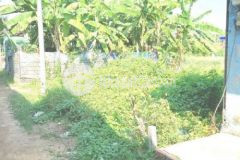 Chính chủ cần bán lô đất thạnh xuân 52