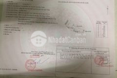 Bán đất 2 mặt tiền hẻm tân bình lagi bình thuận