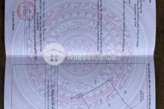 Cần tiền cho con đi học bán gấp