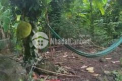 Đất vĩnh tân sổ riêng khu dân cư đông