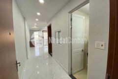 Ngợp bán gấp căn hộ phúc đạt 2pn lầu cao sổ sẵn