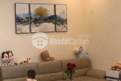 Ch 60m tầng trung nội thất đẹp tòa ct8 đại thanh