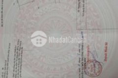 Ngang 50m tính tiền chỉ 39m trương định