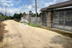 1220m2 đất nông nghiệp giá đầu tư