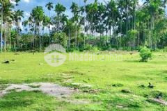 Bán dự án du lịch 25ha 50 tỷ gần thánh địa mỹ sơn