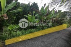 Dât dā có sõ hòng dt 502m huynh thanh sang vl