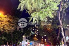 3 bước ra phố. nhà tây hồ siêu đẹp, 85m2x 4t, kinh doanh,2 ô tô tránh. chỉ 198trm2