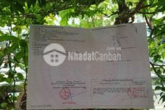 Tôi cần bán gấp lô đất 2 mặt tiền đường 14g thôn hòa hải, xã hòa phú chỉ 1.7 tỷ