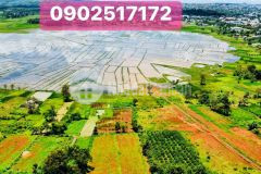 Cần sang nhượng lại lô đất hẻm trương định view xịn xò thuộc đất phố pleiku