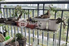 Bán căn hộ 2 pn,view hồ điều hòa giá tốt tại thanh hà cienco 5