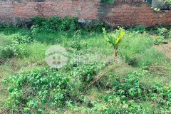 Chính chủ bán đất thổ cư đặng xá dt 250m x mt 15 mét giá chỉ 5 tỷ ctl 0968916962