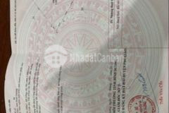Đất phước hòa phú giáo 4100m2 giá 4 tỷ 50 triệu