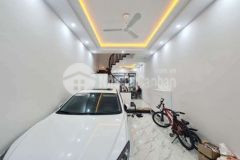 Hiếm hót nhất linh đàm hoàng mai