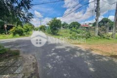 Ngộp đất biệt thự đường nhựa mt trương thị kiện