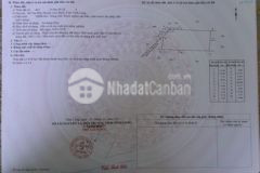 Bán đất mt ql 1a vĩnh long dt 10000m giá 39 tỷ