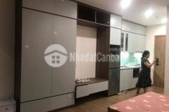 Bán căn hộ studio sky oasis view đảo full đồ