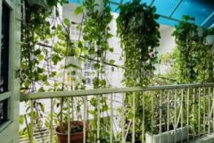 Nhà đẹp khu vip ngay chợ tân trụ phân khúc hiếm