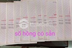 Đất đầu tư làm trang trại nhà vườn nghĩ dưỡng